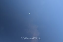 Tony Litt Photography