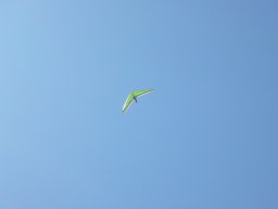 The Corryong Cup 2009